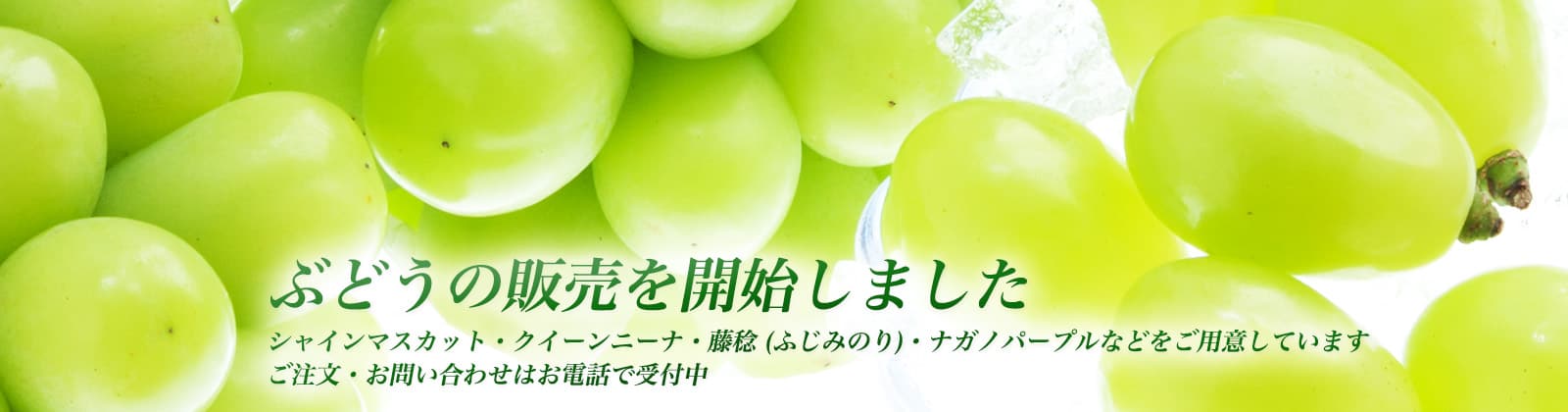 ぶどうの販売を開始しました